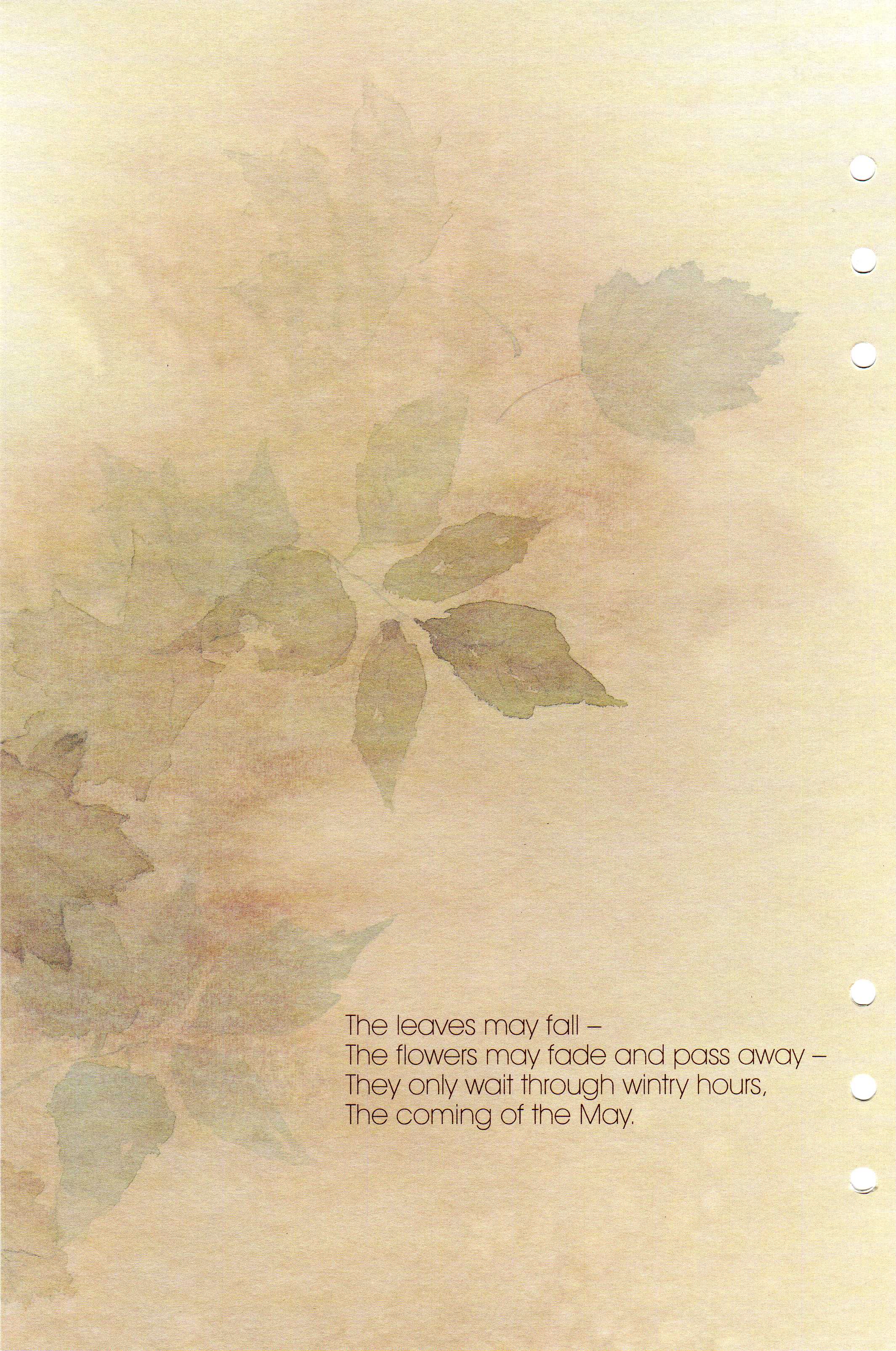 Image 34